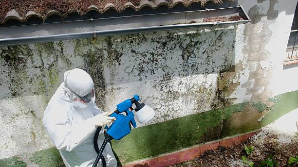 Top rated local Crawl Space Mold Remediation specialists in Kennett Square, PA